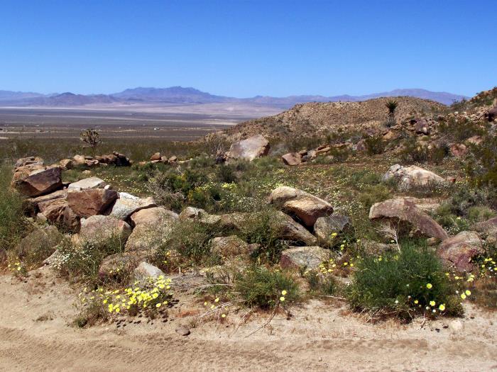 View north from Rock Corral